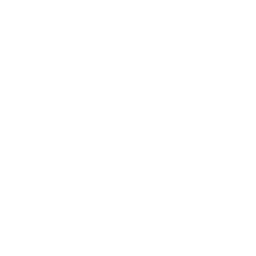 Dirtt Environmental Solutions Drtt P B Ratio