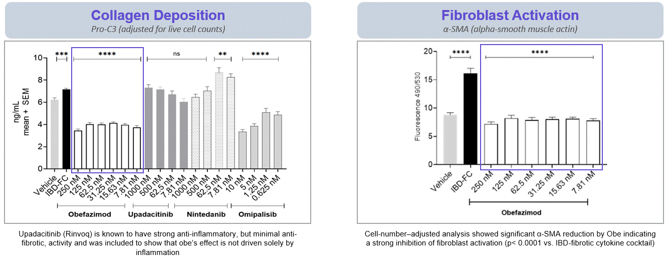 Anti-Fibrosis Studies.gif