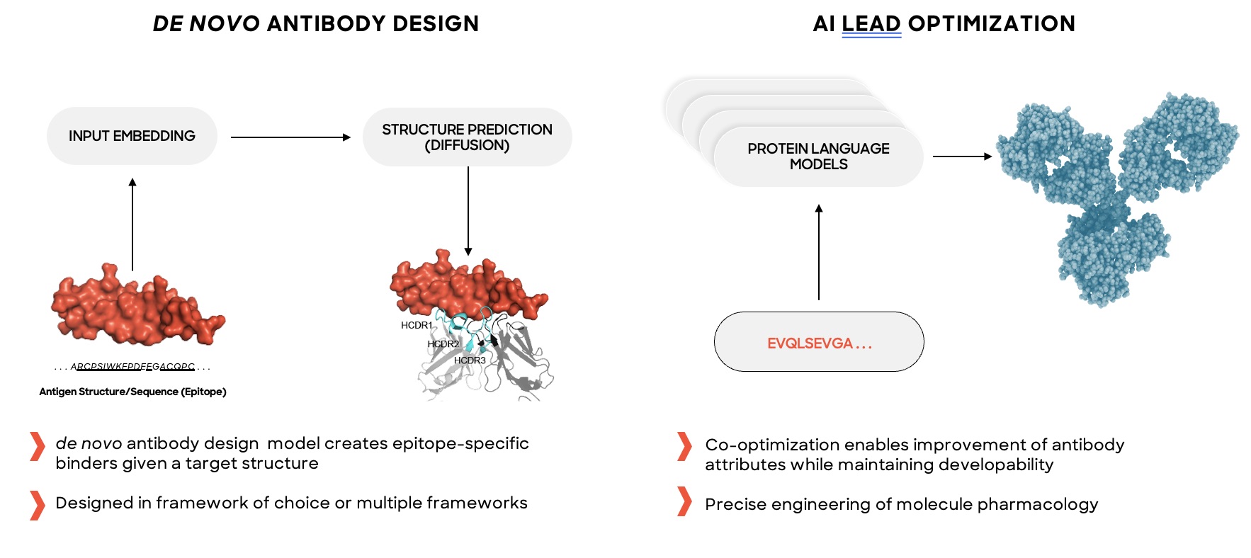 Screenshot 2025-02-28 at 1.13.10 PM.jpg