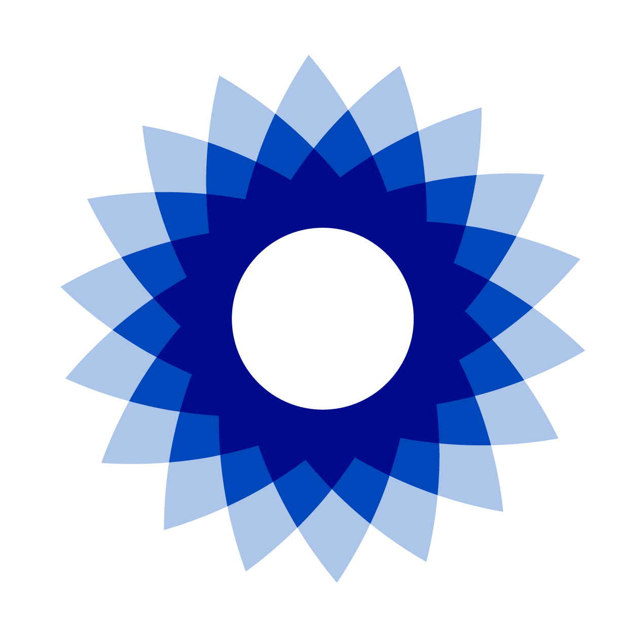 bsig-20201231_g1.jpg