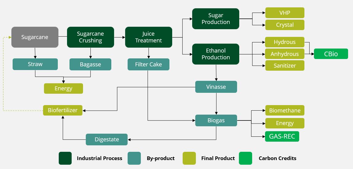 Sugarcane process.jpg
