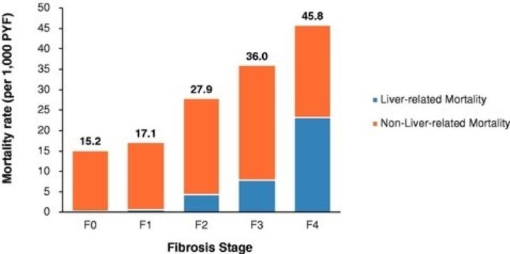 Chart, bar chart
Description automatically generated