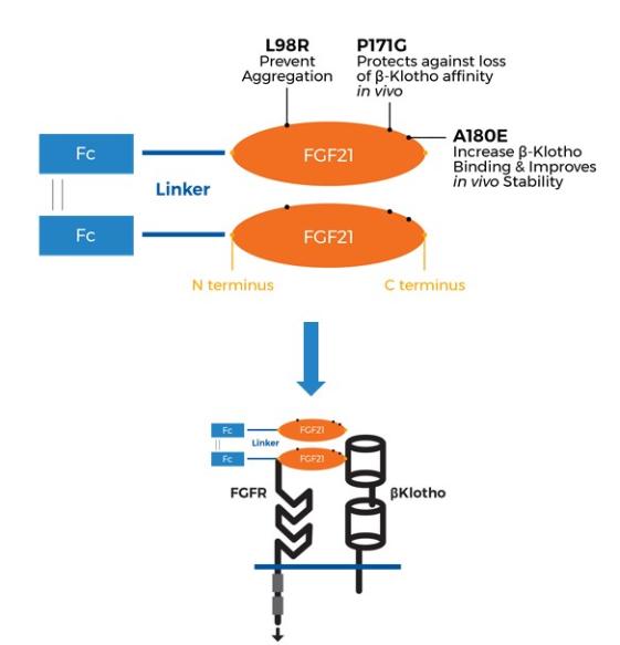 Diagram
Description automatically generated