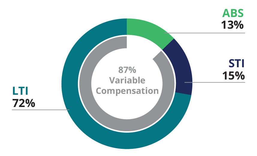 pie chart_CEO.jpg