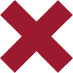 02 437322-1_icon_cross_2.jpg