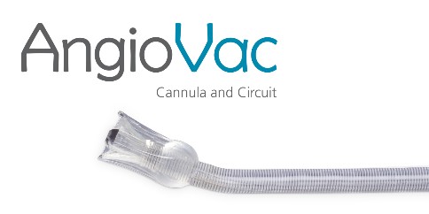 angiovacpicturea04.jpg
