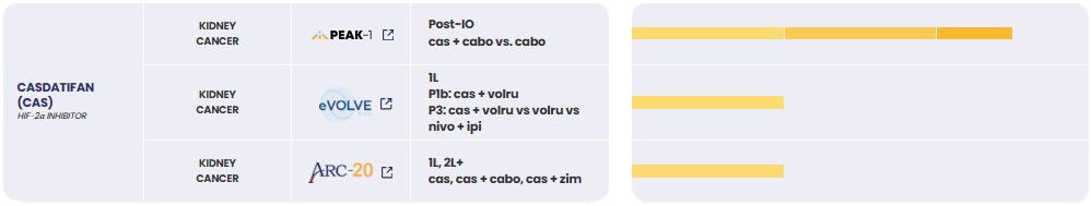 1 cas.jpg