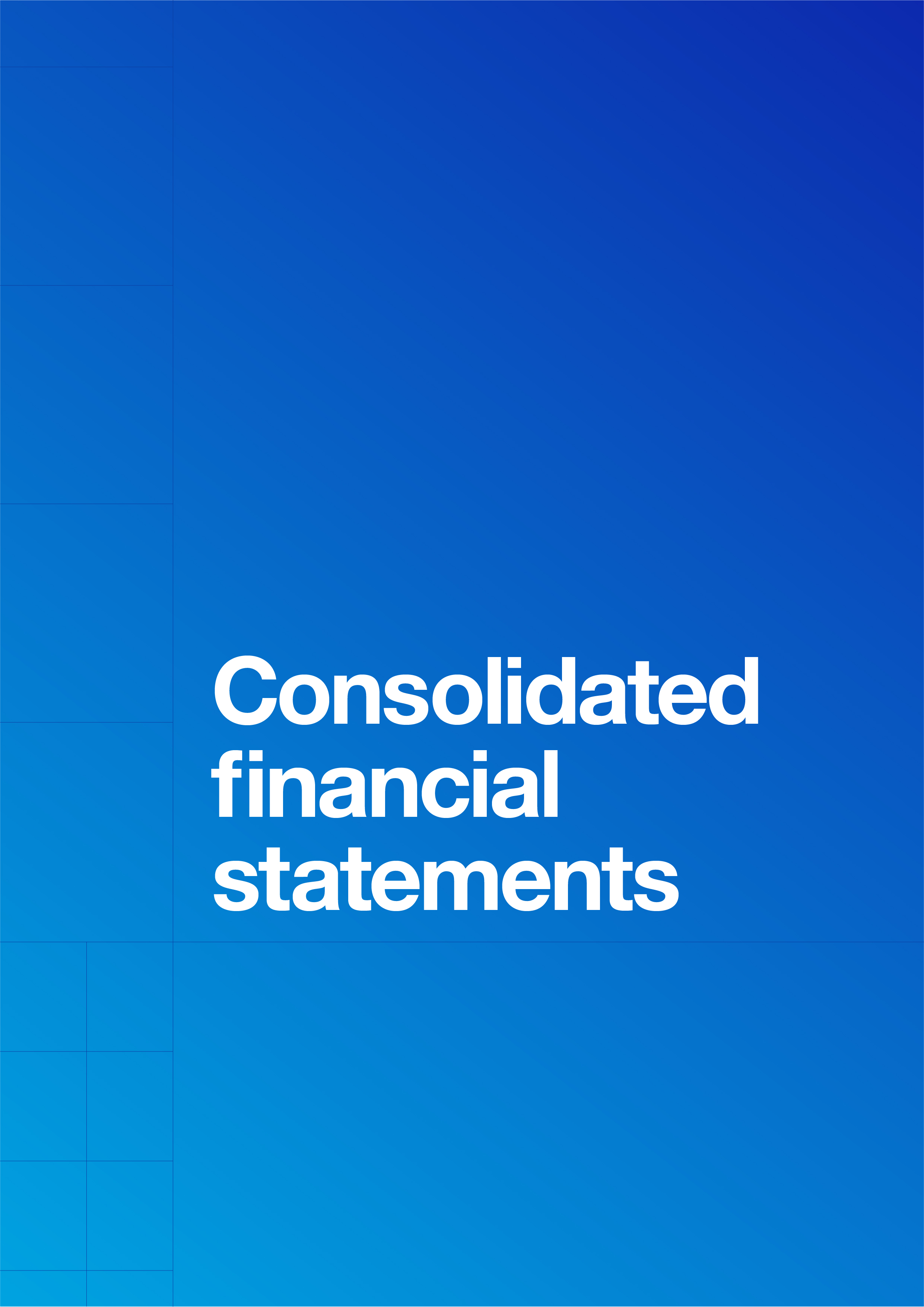 chapterconsolidatedfinancial.jpg