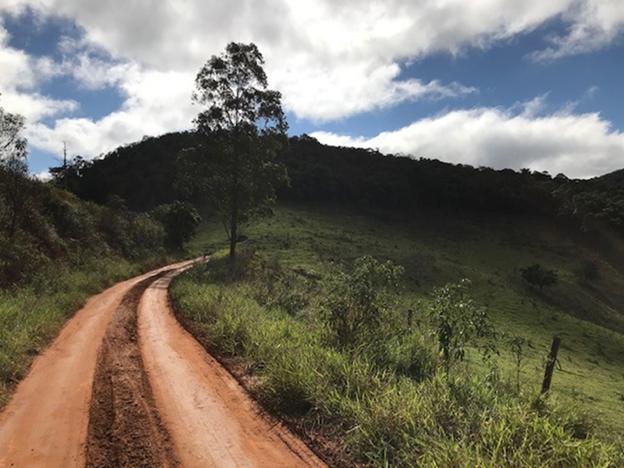 A dirt road with trees and grass on a hill
Description automatically generated