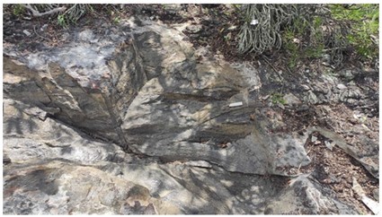A close-up of a rock
Description automatically generated
