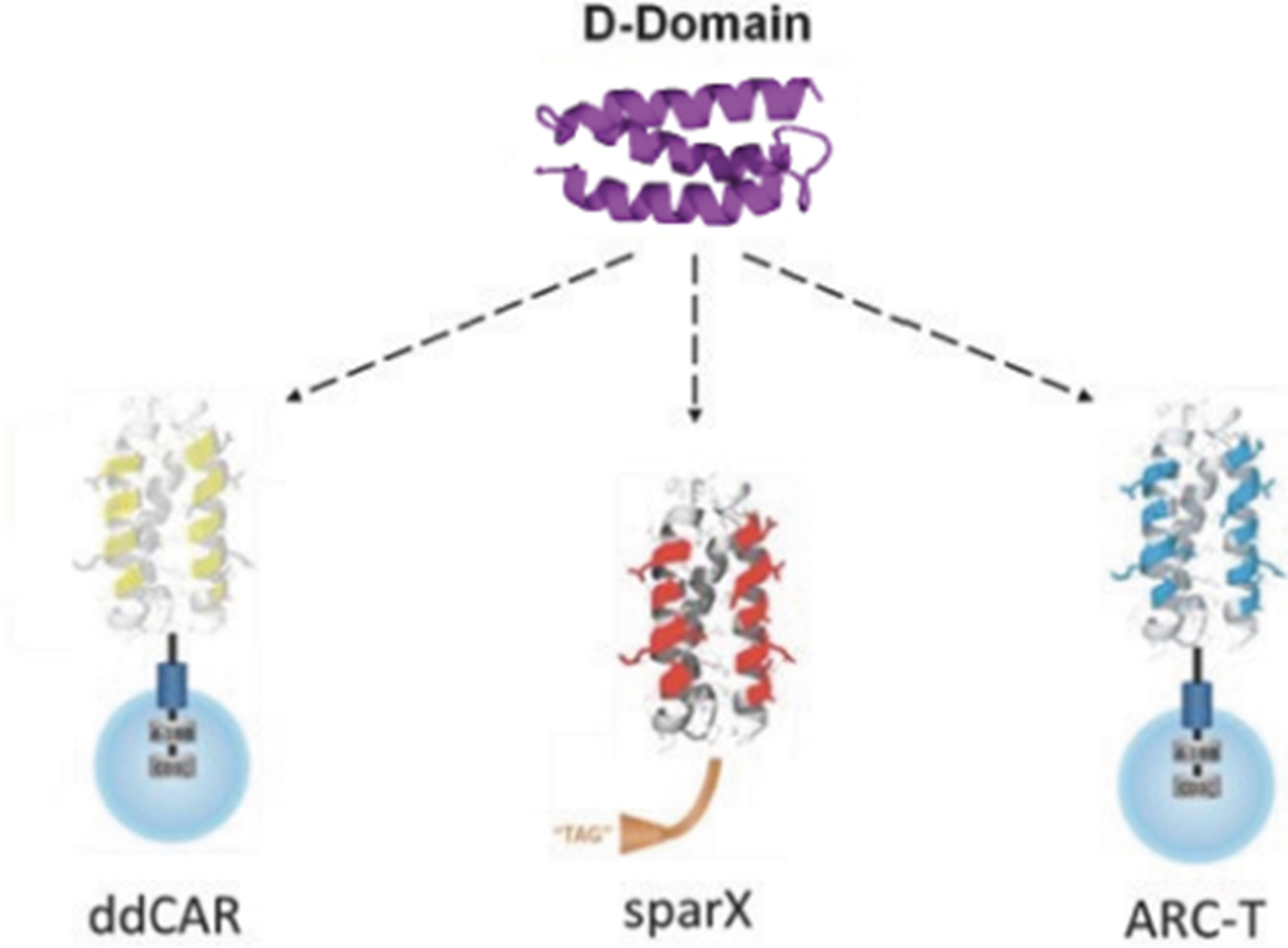 img160967676_2.jpg