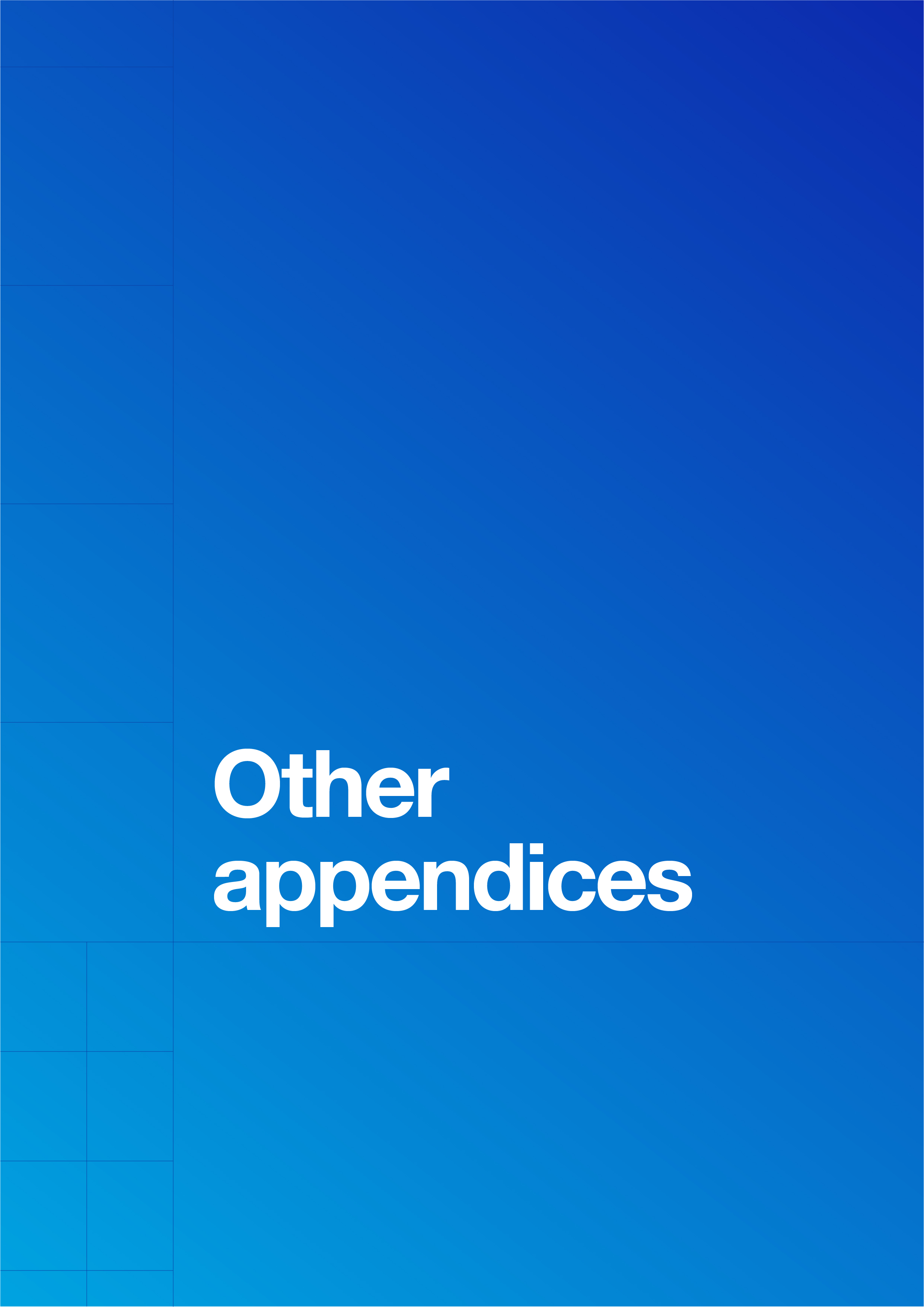 chapterotherappendices.jpg
