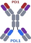 image3.jpg