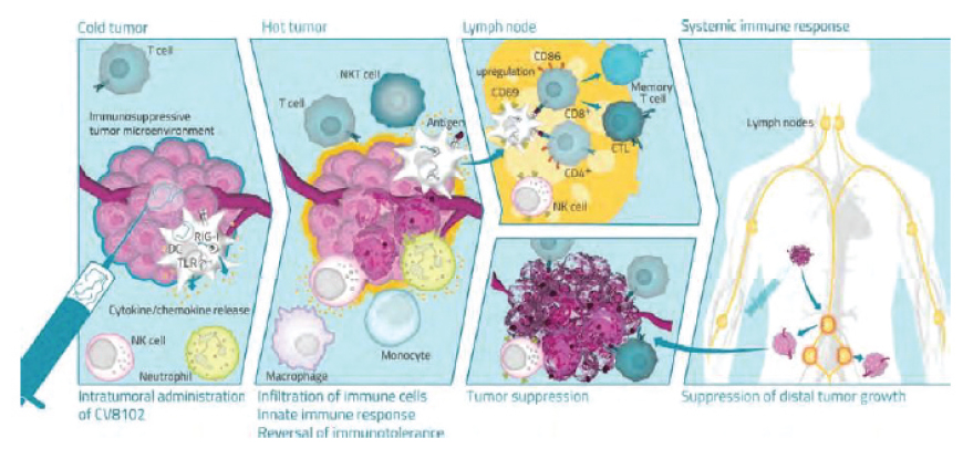 [MISSING IMAGE: tm215958d1-ph_mechanis4clr.jpg]