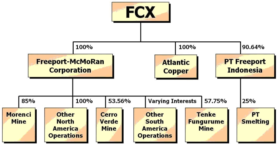 Organization Chart