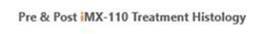 A close up of a number
Description automatically generated