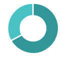 Executive leadership pie chart.jpg
