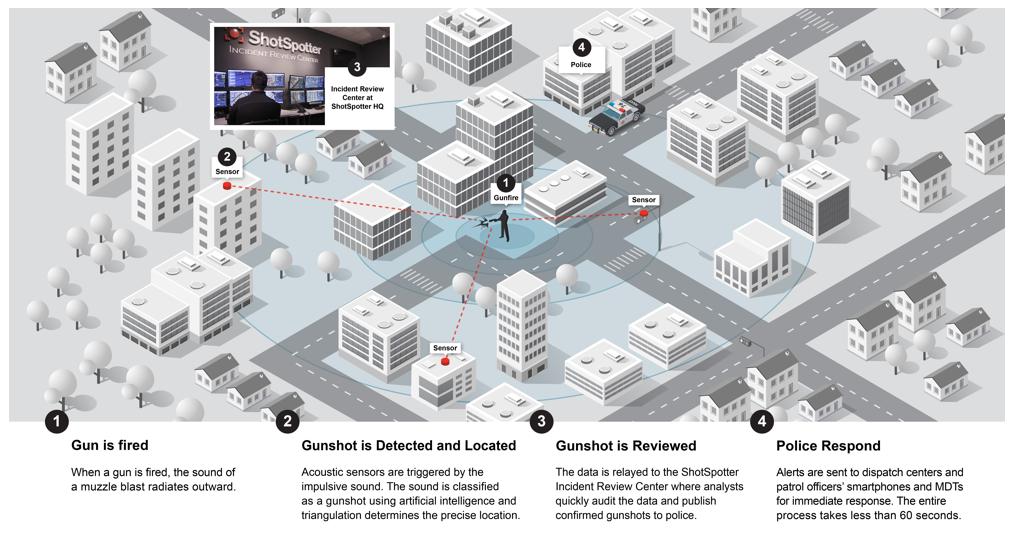 img13566902_4.jpg