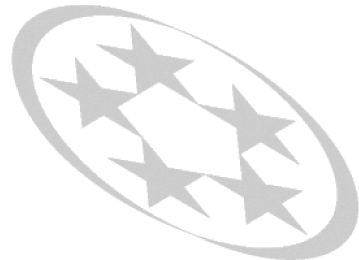 (DYNAMIC STARS DIE FPO)