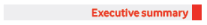 (EXECUTIVE SUMMARY)
