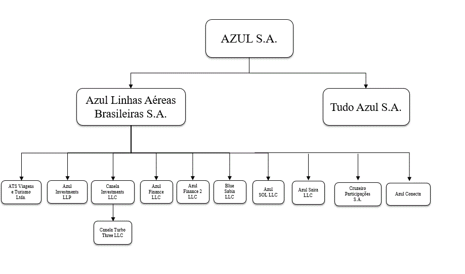 azul-20201231_g6.gif
