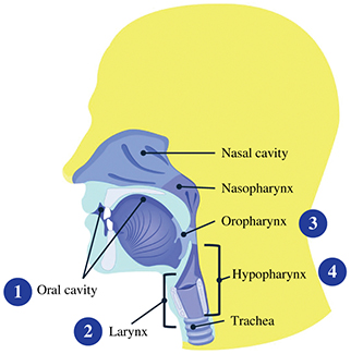 Figure 10.jpg