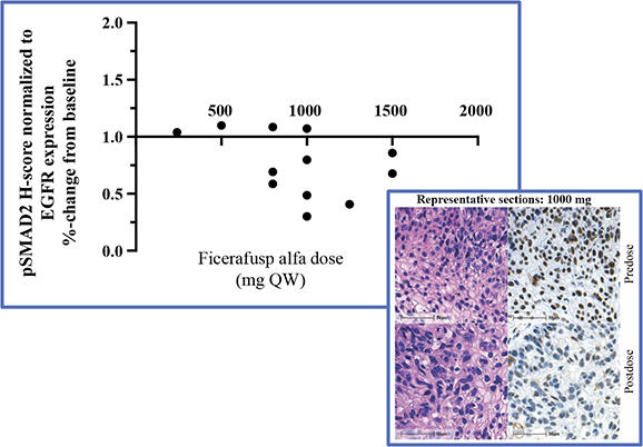 Figure 7.jpg