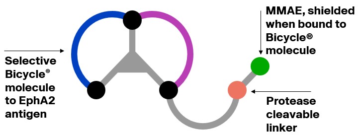 Graphic