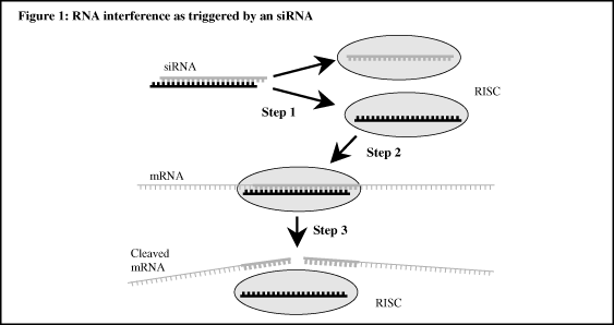 (FLOW CHART)