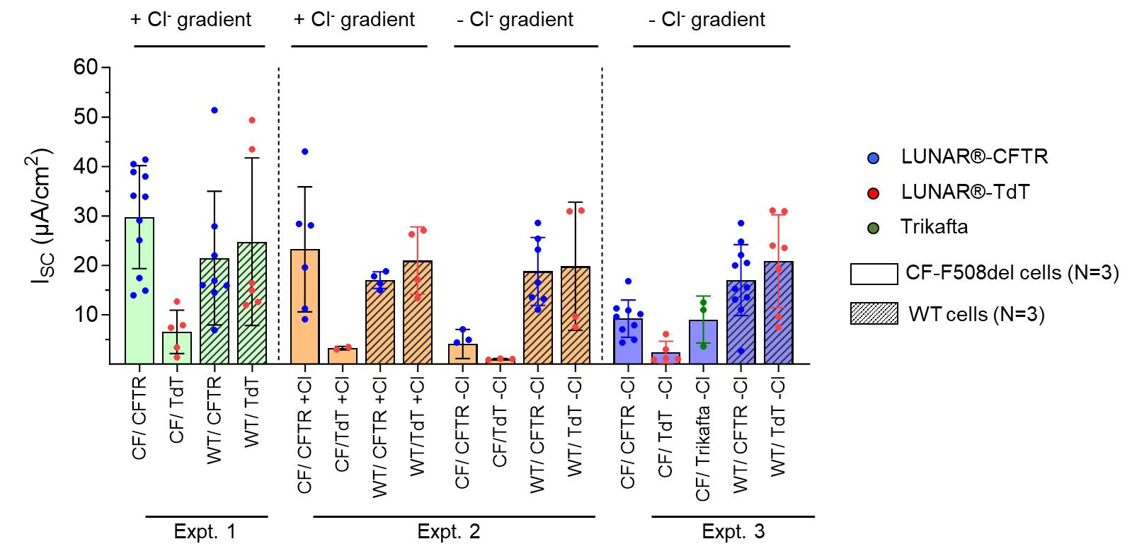 img266266313_10.jpg