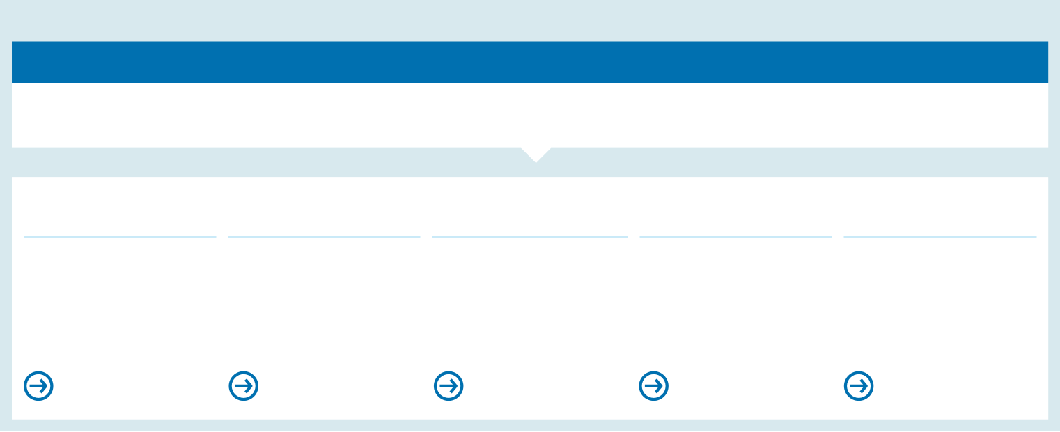 Governance_Framework.gif