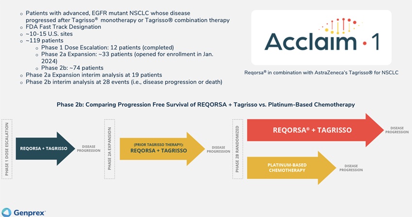 acclaim-1slide_11.jpg