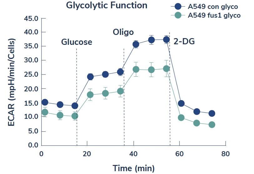 glycolyticfunction_08.jpg