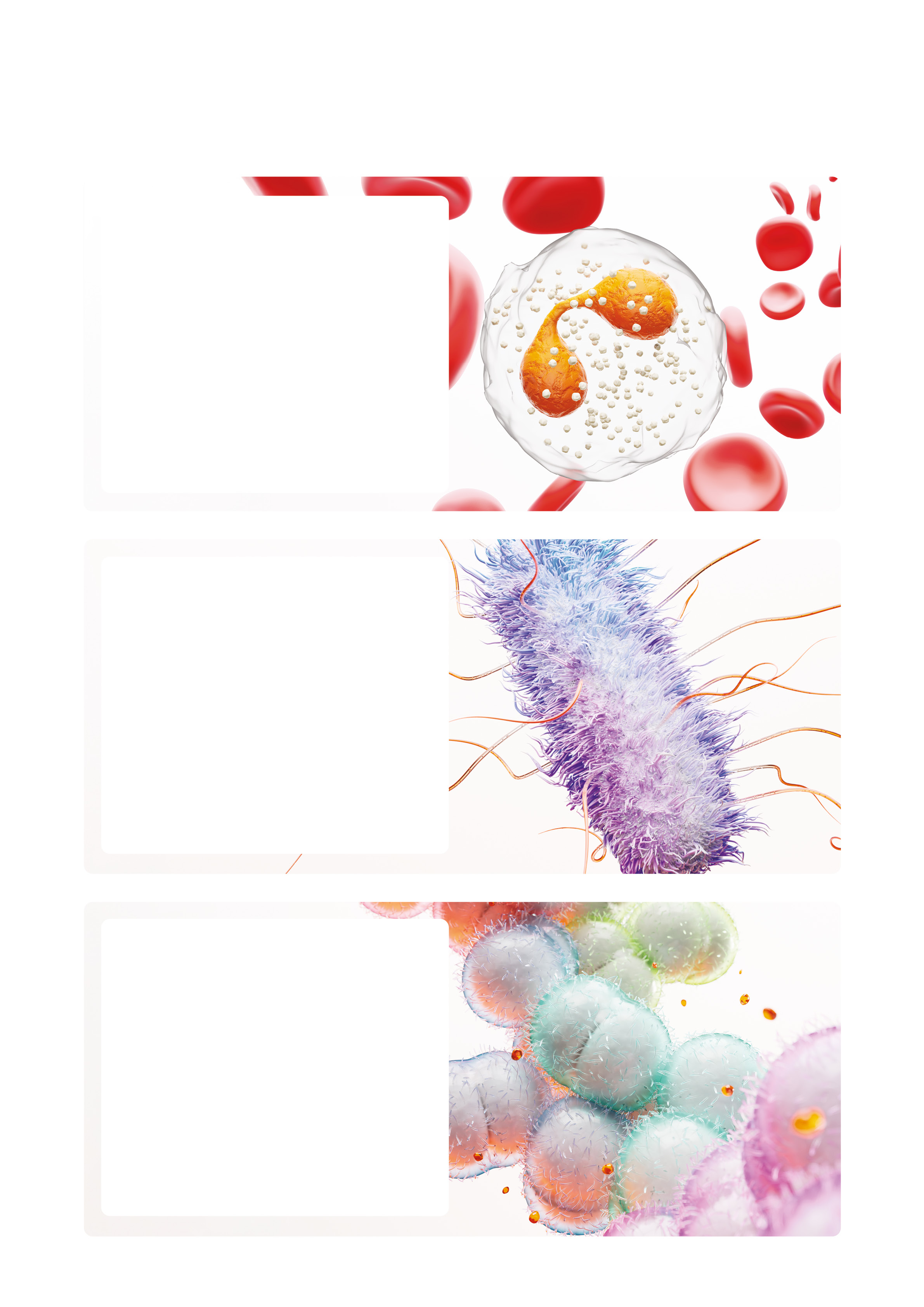 Key approvals_visual_V2.jpg