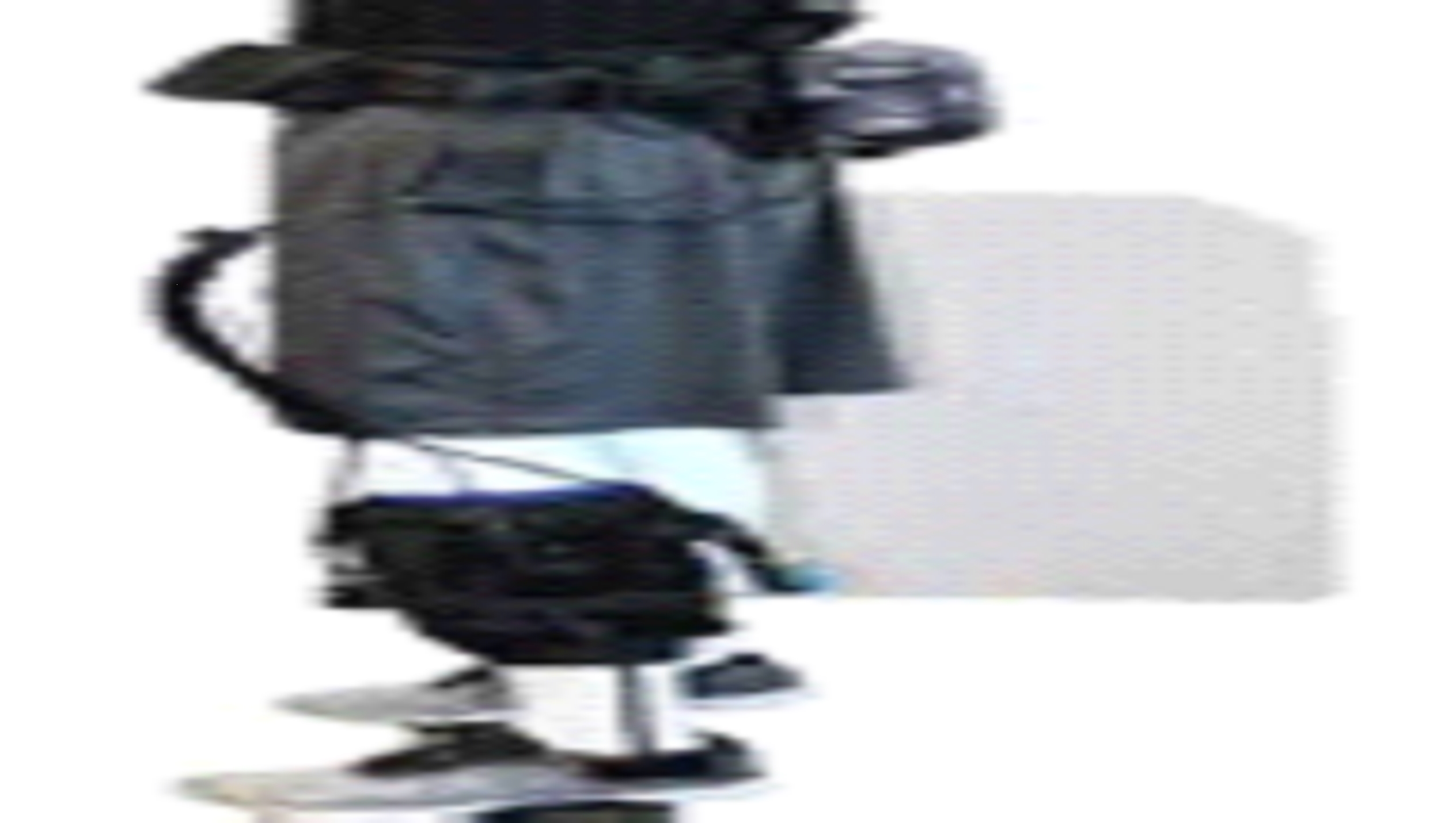 image2.jpg