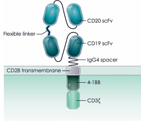 Figure_2.jpg