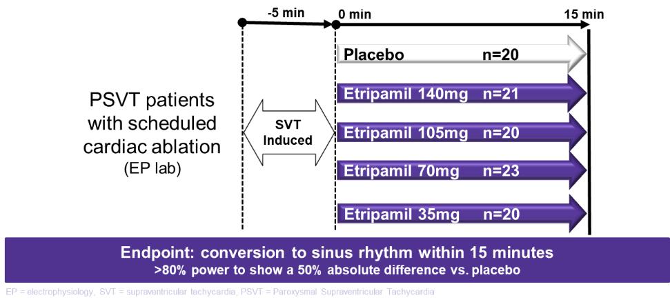A screenshot of a computer
Description automatically generated with medium confidence