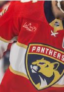 panthers.jpg