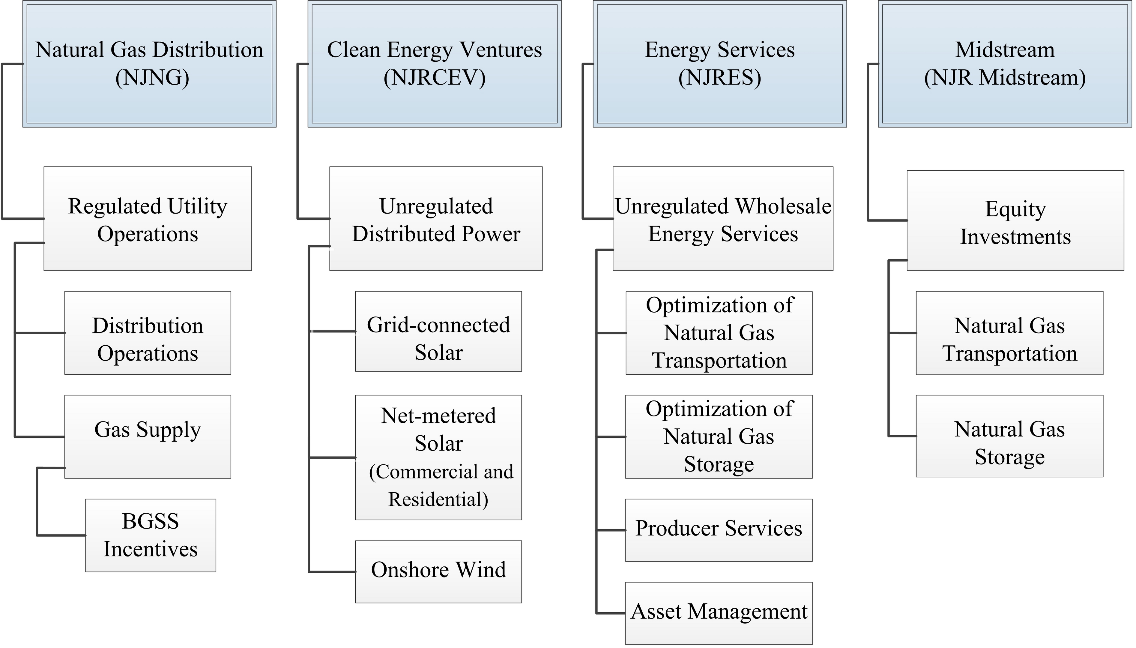 segmentorgchart13.jpg