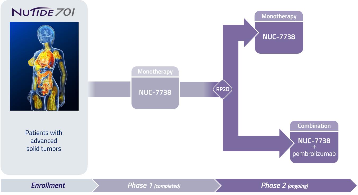 img225426498_10.jpg