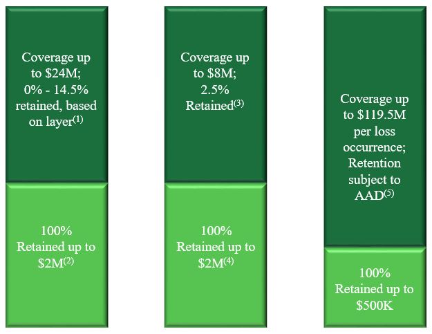 reinsurancechartfinala01.jpg