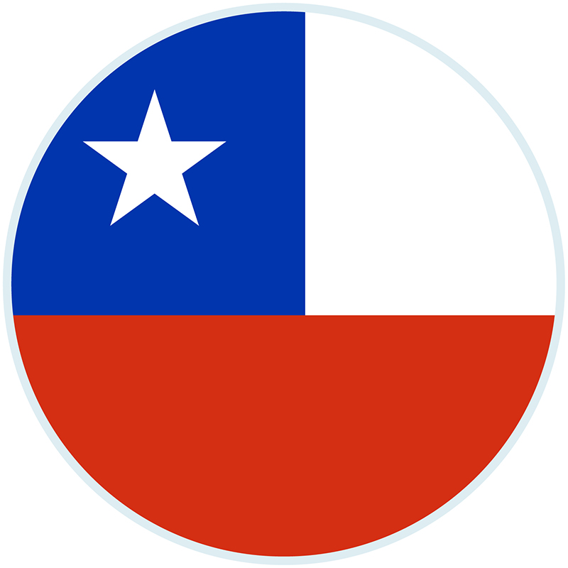 bandera_chilea07.jpg