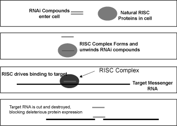 (FIGURE 1)