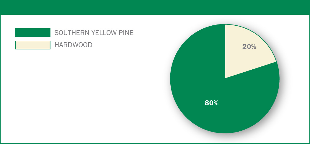 tlsinv16.jpg
