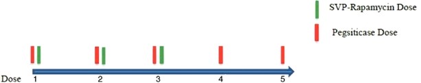 figure13.jpg