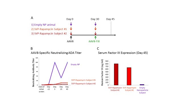 figure24v2.jpg