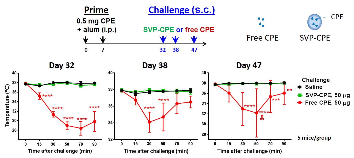 figure40.jpg