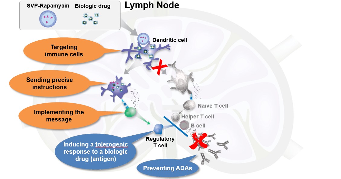 figure4a02.jpg