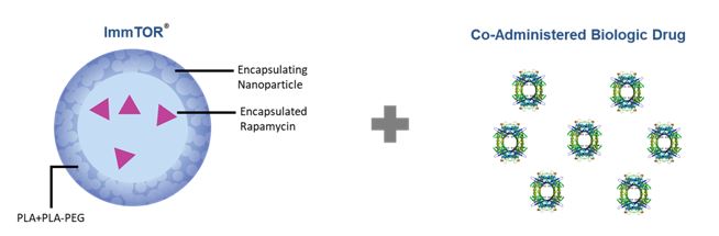 figure_2a05.jpg
