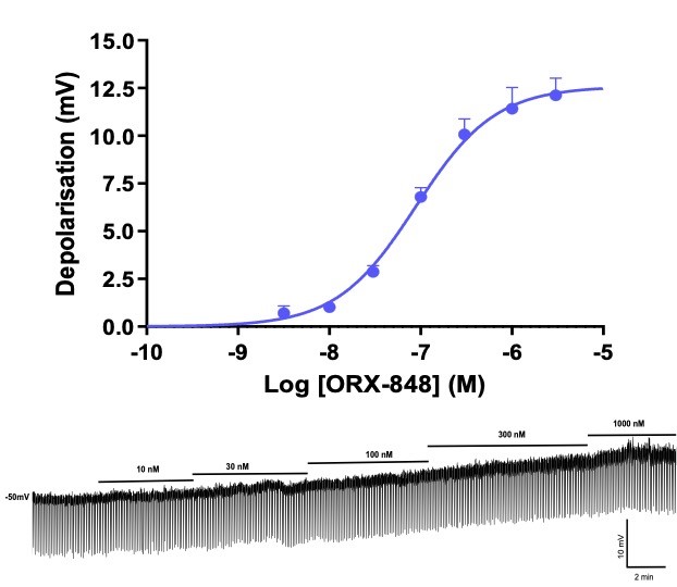 cnta-20211231_g38.jpg